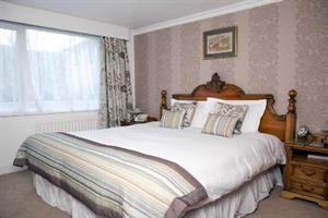 Hotel Wild Boar