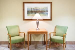 Holiday Inn Express Hotel & Suites Pigeon Forge