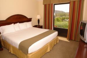 Holiday Inn Express Hotel & Suites Pigeon Forge