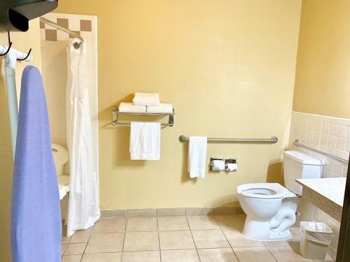 Holiday Inn Express Hotel And Suites Alice