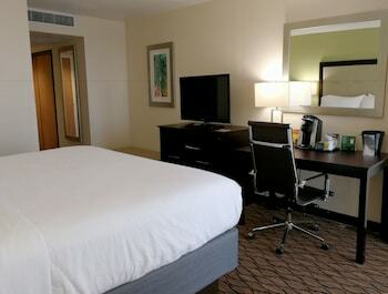 Hotel Holiday Inn Corpus Christi Downtown Marina