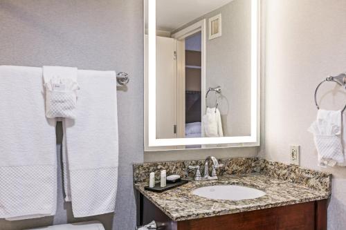 Hotel Embassy Suites Dallas - Market Center