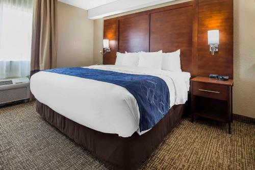 Hotel Comfort Suites El Paso Airport