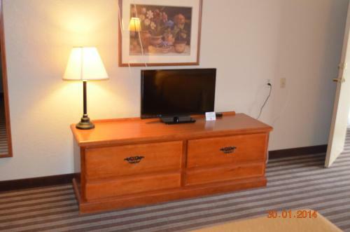 Hotel Quality Inn And Suites At Reliant Park