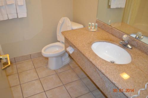 Hotel Quality Inn And Suites At Reliant Park