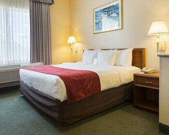 Hotel Comfort Suites La Porte