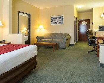 Hotel Comfort Suites La Porte