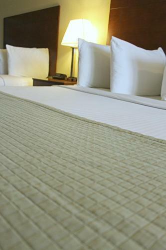 Hotel Southern Inn & Suites Lamesa