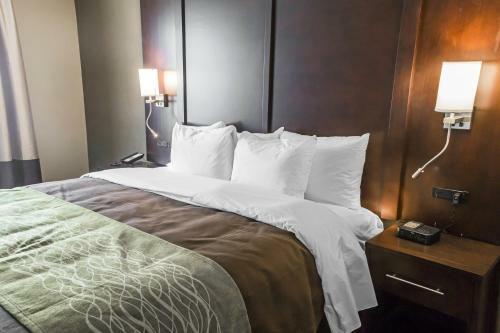 Hotel Comfort Inn & Suites Pharr/mcallen