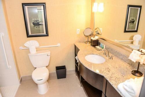 Hotel Crowne Plaza Houston Galleria