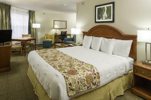 Hotel Smart Suites Burlington