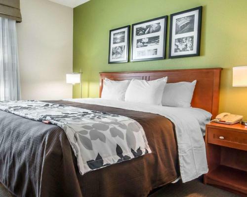 Hotel Sleep Inn & Suites Winchester