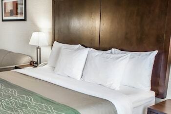 Hotel Comfort Inn Federal Way - Seattle