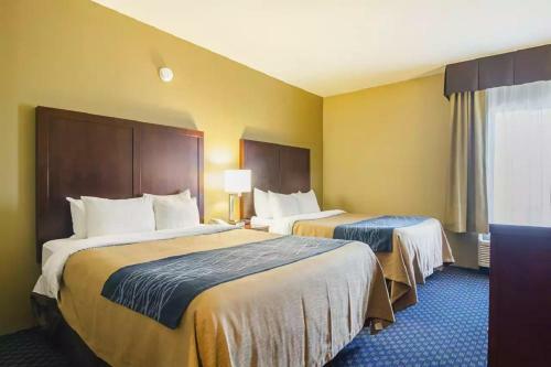 Hotel Comfort Inn & Suites Seatac