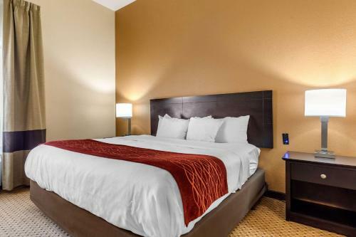 Hotel Comfort Inn & Suites Kenosha