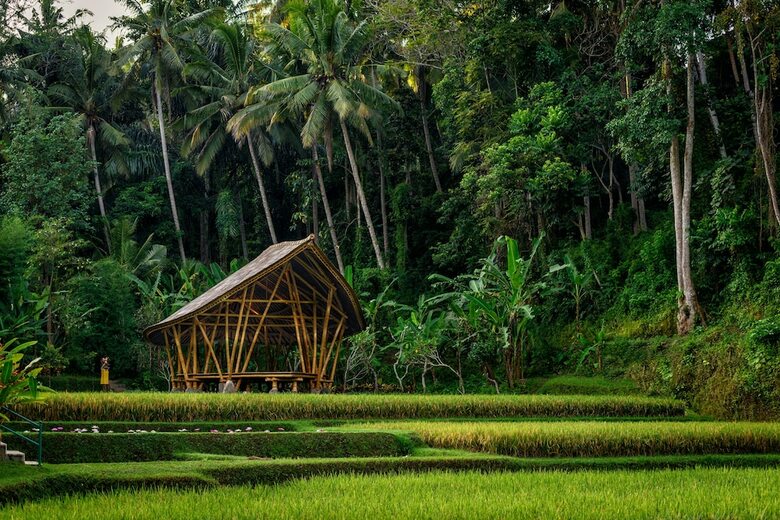 Hotel Four Seasons Resort Bali At Sayan