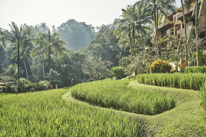 Hotel Four Seasons Resort Bali At Sayan
