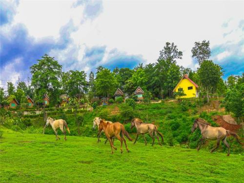 Hotel E-outfitting Pai Resort