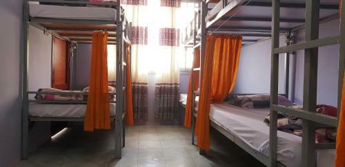 Albergue Tiny Tigers