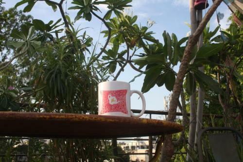Bed And Cha�