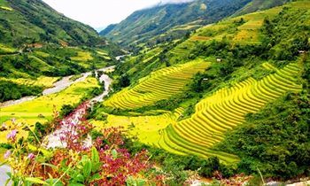 Sapa Eden View Hotel