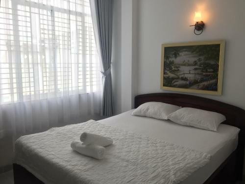 Hostal Vy Khanh Guesthouse