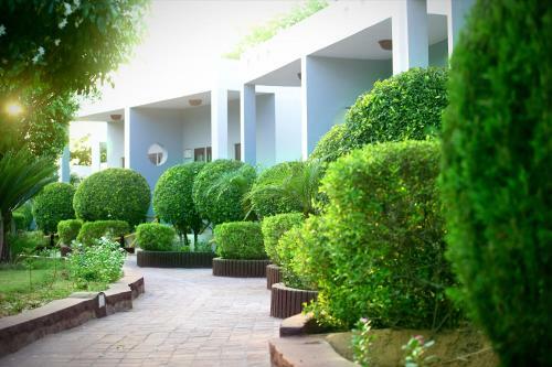 Hotel The Pugmark- Boutique Resort