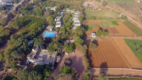 Hotel The Pugmark- Boutique Resort