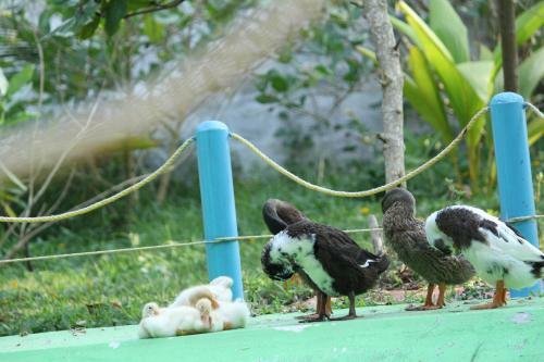 Hotel Salient Ayurvedic Beach Resort