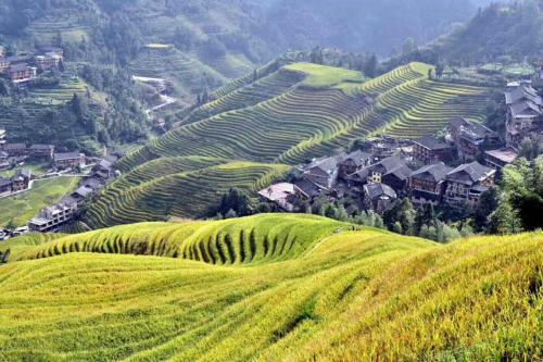 Agroturismo Jinkeng Inn