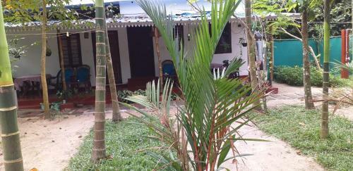 Bed & Breakfast Marari Nest Beach Homestay