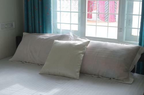 The Pod Cochin Homestay