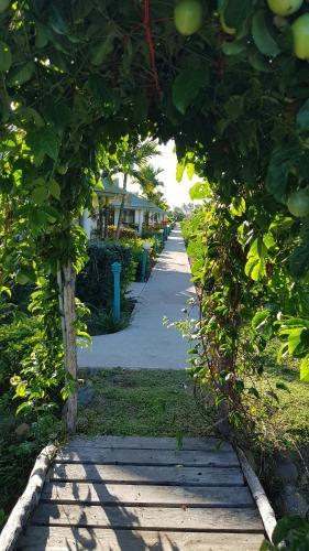 Hotel Bayview Cove Health Resort