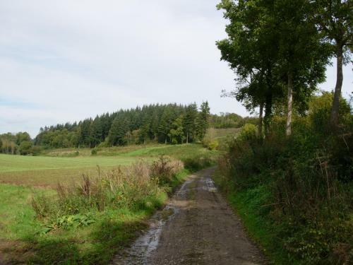 G�te Rural Le Falihou (3 �pis)