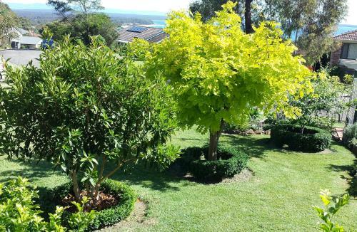 Apartamentos Bay Gardens Retreat Vincentia