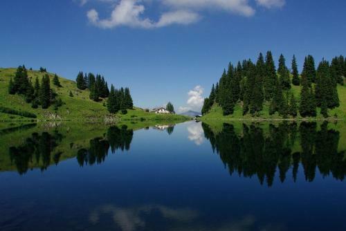 Chalet Diana