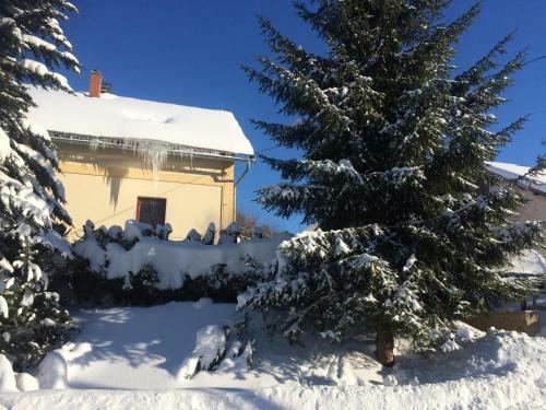 Sun And Winter Apartment