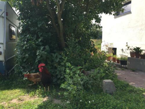 Apartamento Hof Uhleck Am K�nigsstuhl