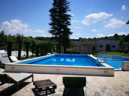 Il Pettirosso B&B