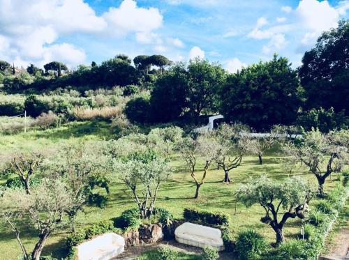 Il Pettirosso B&B