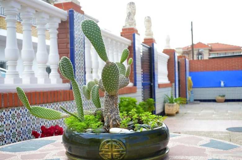 Hostal Torre De La Victoria Guest House