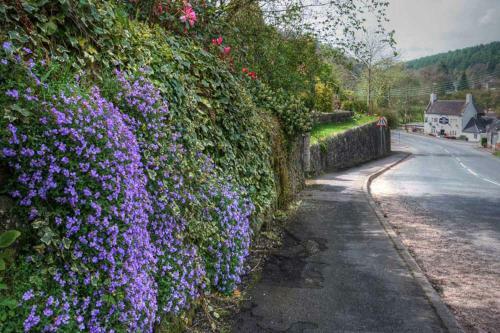 The Laurels B&B
