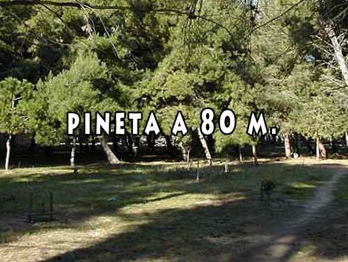 Bed & Breakfast Solemare