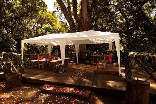 Hotel Rivertrees Country Inn