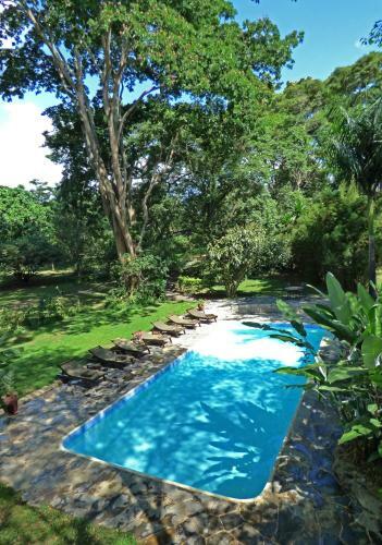 Hotel Rivertrees Country Inn