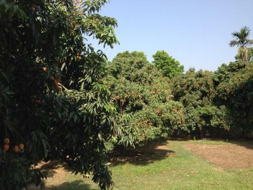 Hotel Chautari Garden Resort Pvt. Ltd