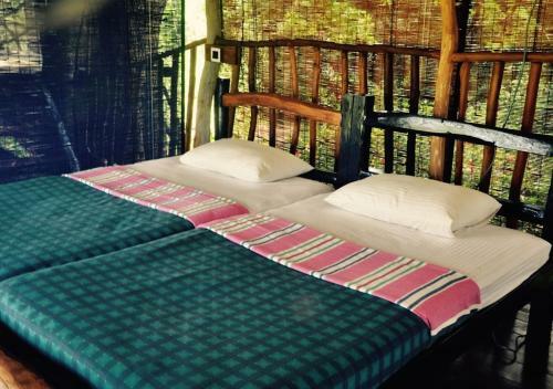 Lodge Elephant Watch Hut