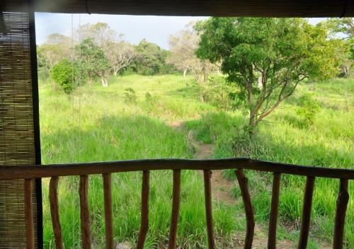 Lodge Elephant Watch Hut