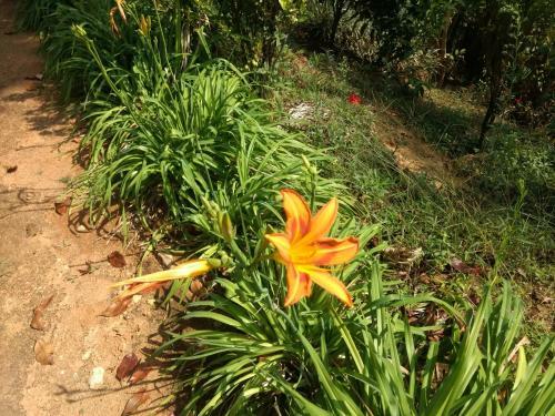 Agroturismo Kollenkeril Plantation Bungalow