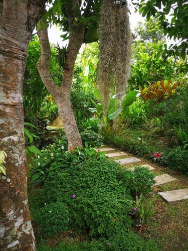 Hostal Bura Phat Resort